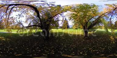 超<strong>高清</strong>4K360VR虚拟现实的一个城市公园游乐<strong>区</strong>.. 秋天或夏天的树木和绿草